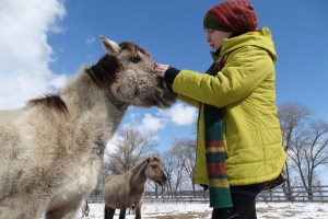 Парк природы Беремицкое